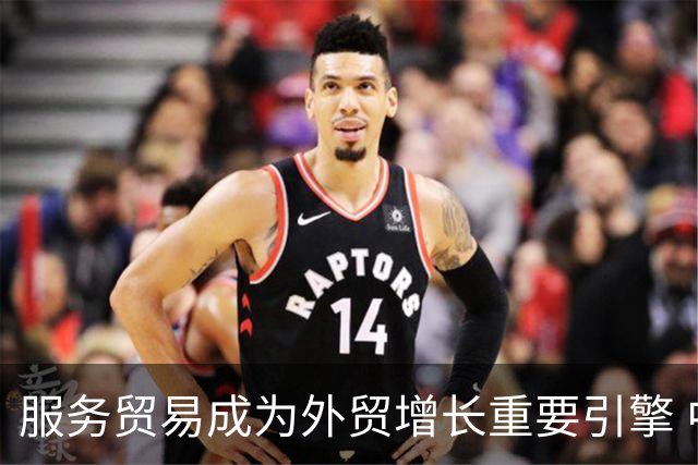 服务贸易成为外贸增长重要引擎 中企带着科技走出去