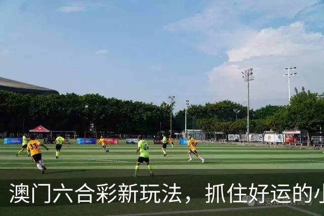 澳门六合彩新玩法，抓住好运的小秘诀！